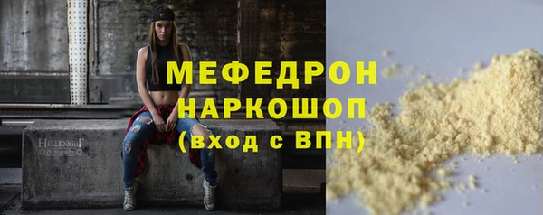 индика Бронницы