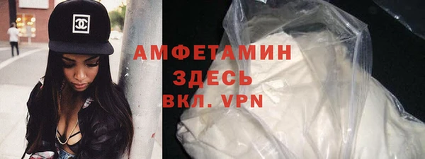 индика Бронницы