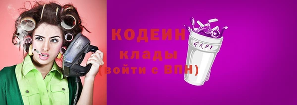 индика Бронницы