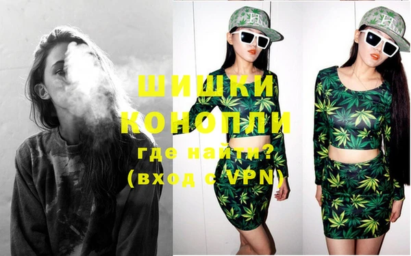 индика Бронницы