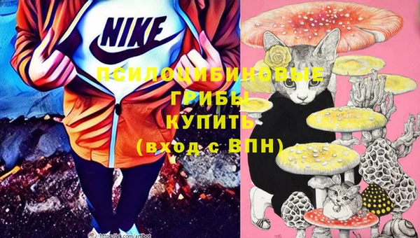 индика Бронницы