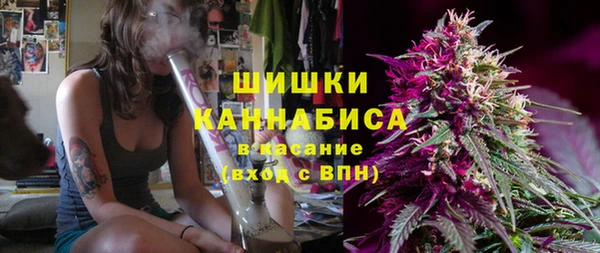 индика Бронницы
