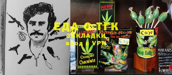 индика Бронницы