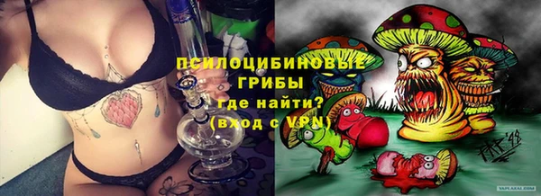 mix Бородино