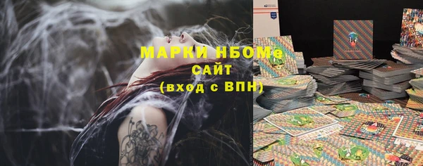 индика Бронницы