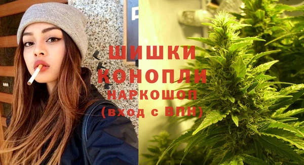 mix Бородино