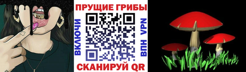 Галлюциногенные грибы Psilocybe  ссылка на мегу вход  Александровское 